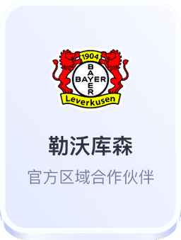 开云体育勒沃库森合作伙伴
