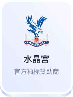 开云体育水晶宫袖标赞助